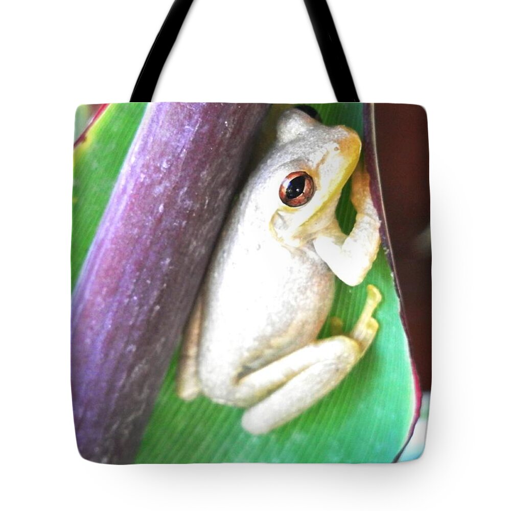 Lounging On A Green Leaf Resting Up For The Night Hunt To Come Tote Bag featuring the photograph Freddie the Frog #1 by Belinda Lee