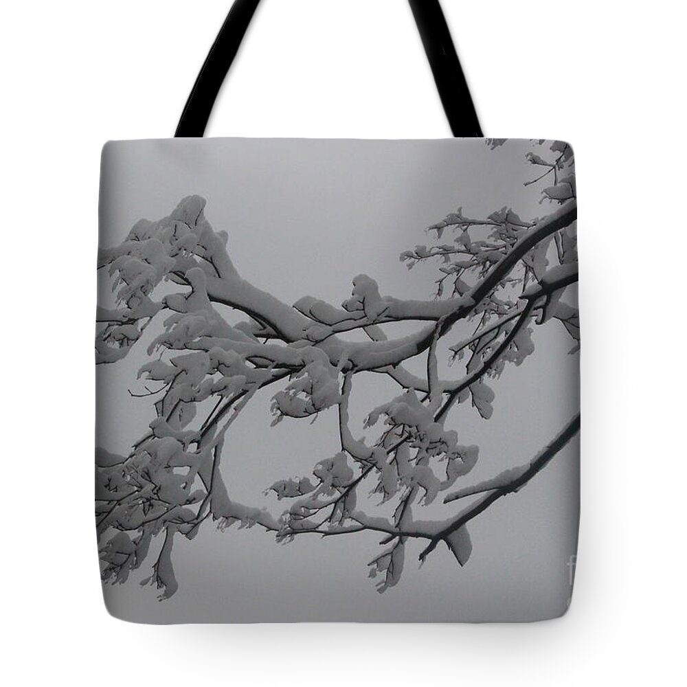 Winter Tote Bag featuring the photograph Fresh Snow on Magnolia Tree #1 by Dora Sofia Caputo