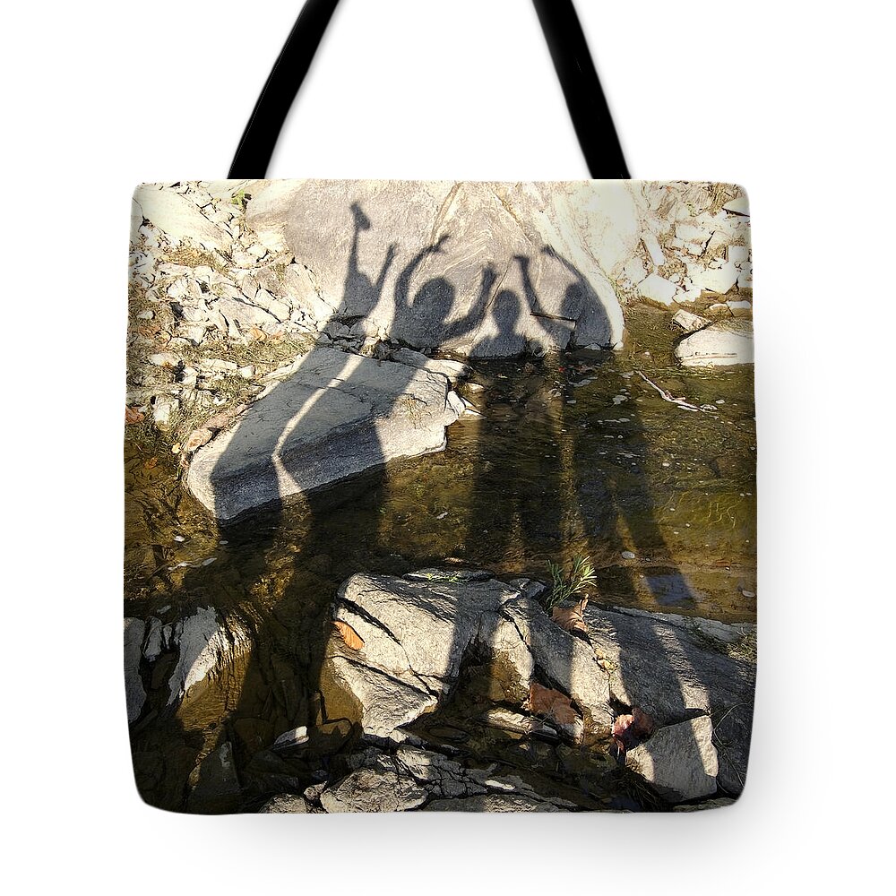 Friends Tote Bag featuring the photograph Friends #1 by Julie Niemela