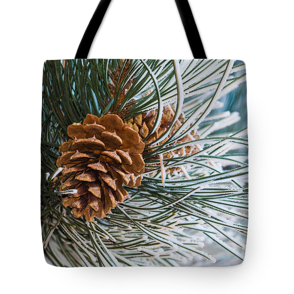 Christmas Tote Bag featuring the photograph Frosty Pine Needles and Pine Cones #1 by Dawn Key