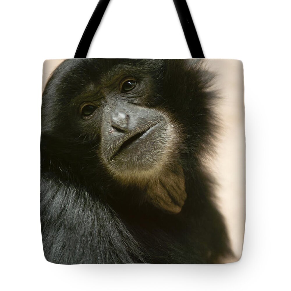 Asia Tote Bag featuring the photograph Funky Gibbon #1 by Andrew Michael