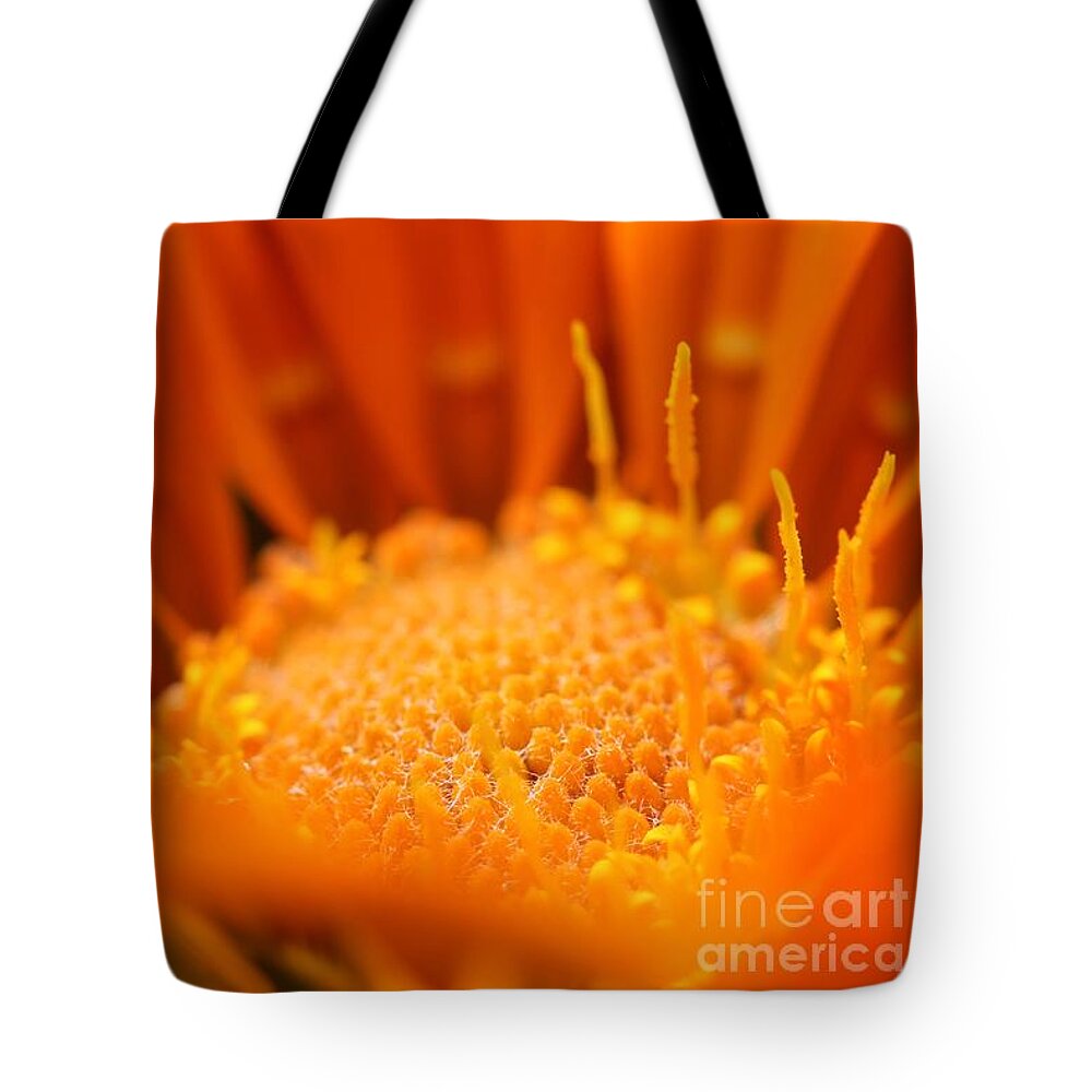 Mccombie Tote Bag featuring the photograph Gazania named New Day Clear Orange #3 by J McCombie