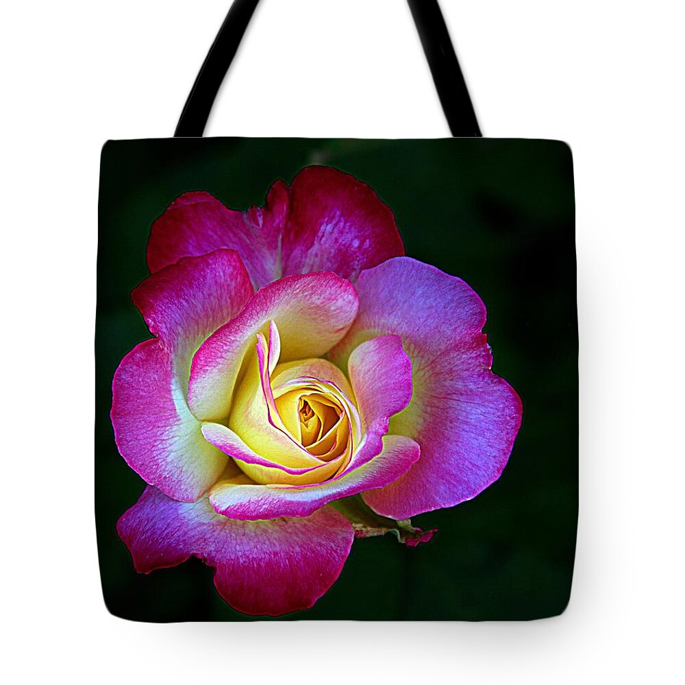 Red And Yellow Rose Tote Bag featuring the photograph Glowing Rose #1 by Karen McKenzie McAdoo
