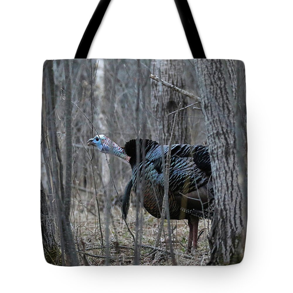 Turkey Tote Bag featuring the photograph Gobbling Tom #1 by Brook Burling