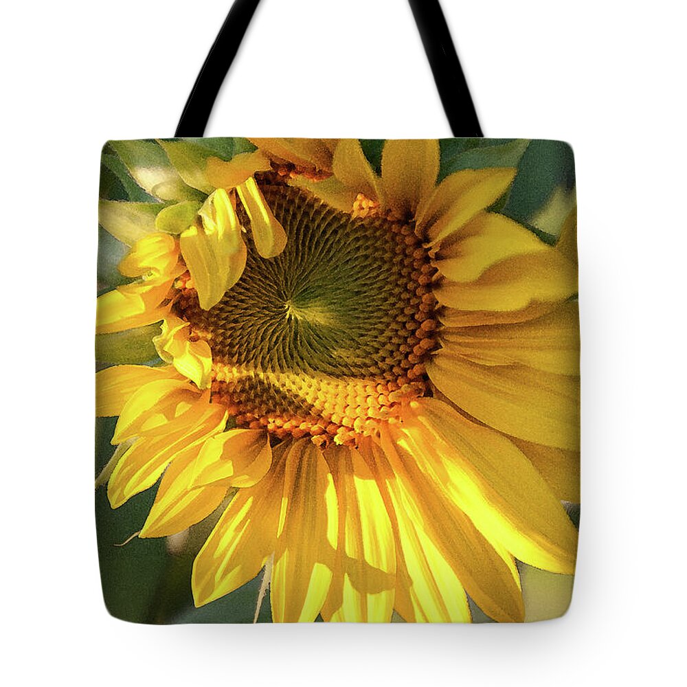 Golden Sunflower Tote Bag featuring the photograph Golden 2 - by Julie Weber