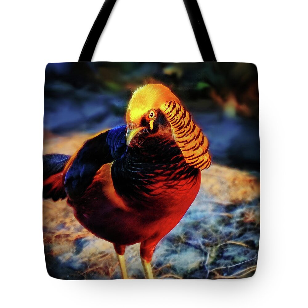 Golden Pheasant Tote Bag featuring the photograph Golden Pheasant #1 by Lilia S