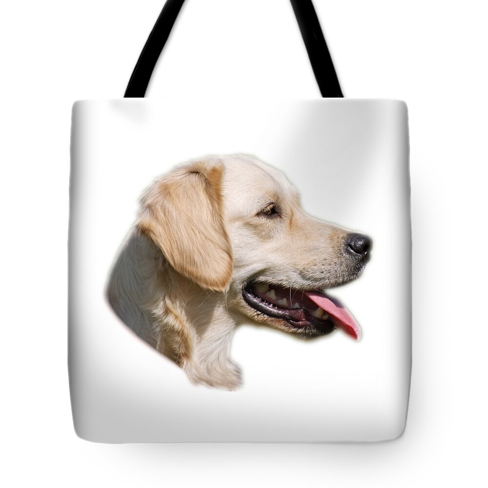 Dog; Golden Retriever Tote Bag featuring the photograph Golden Retriever #1 by George Atsametakis