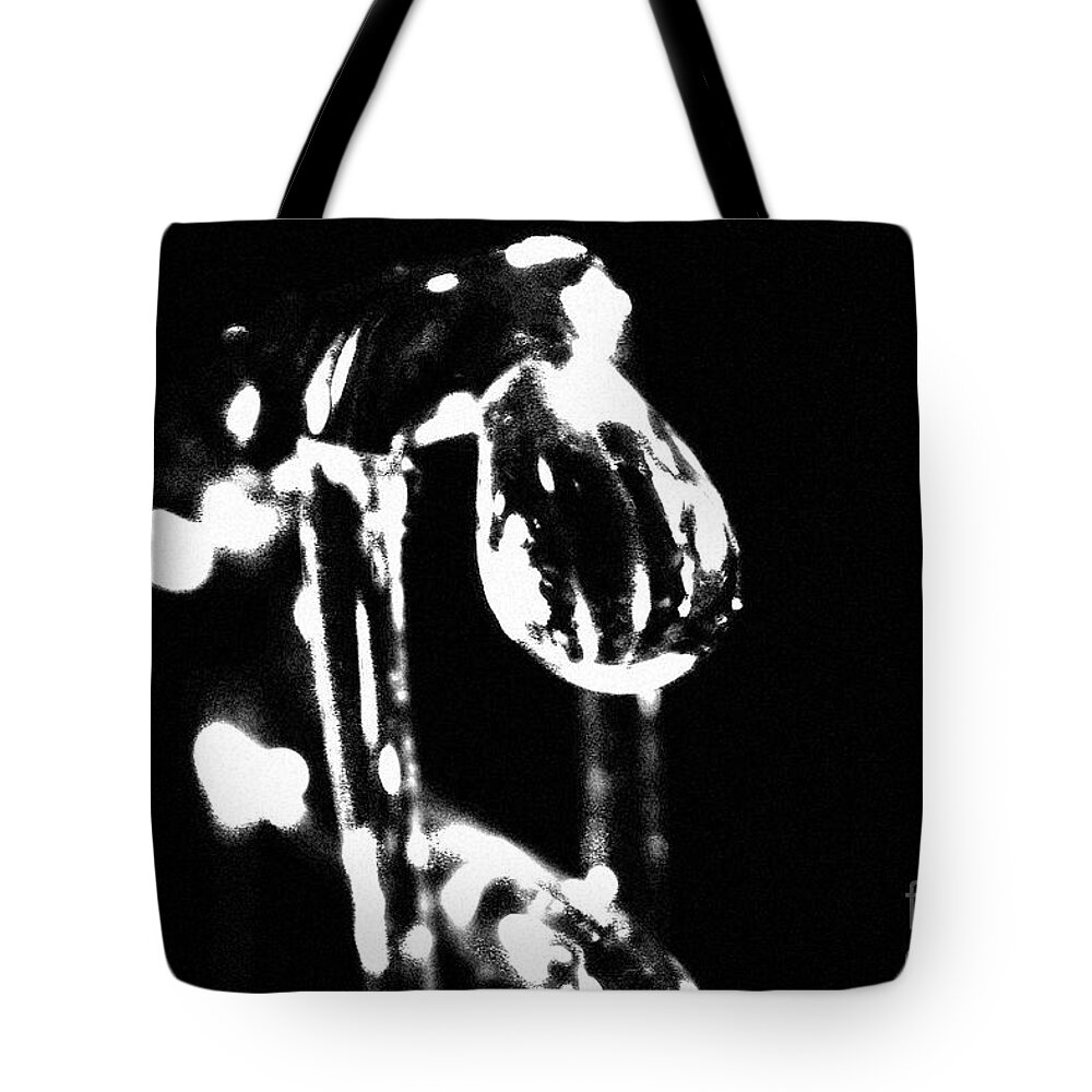  Tote Bag featuring the photograph Grace 1 #1 by Eileen Gayle