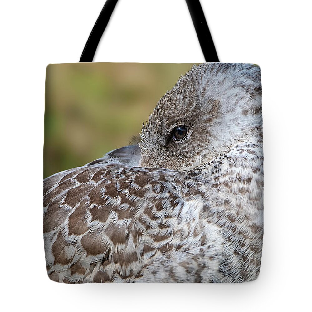 Nina Stavlund Tote Bag featuring the photograph Graceful.. #3 by Nina Stavlund