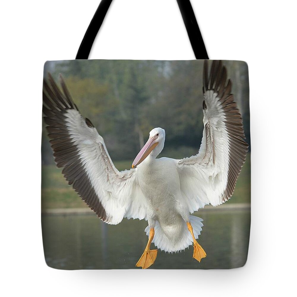 American White Pelican Tote Bag featuring the photograph Grand Entrance #1 by Fraida Gutovich