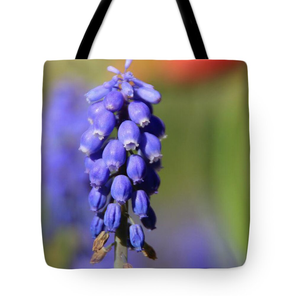 Muscari Tote Bag featuring the photograph Grape Hyacinth #2 by Chris Berry