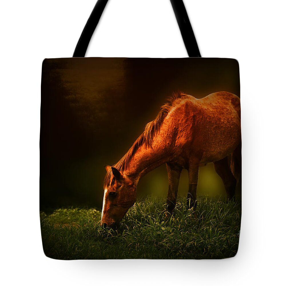 Horse Tote Bag featuring the photograph Grazing #2 by Charuhas Images