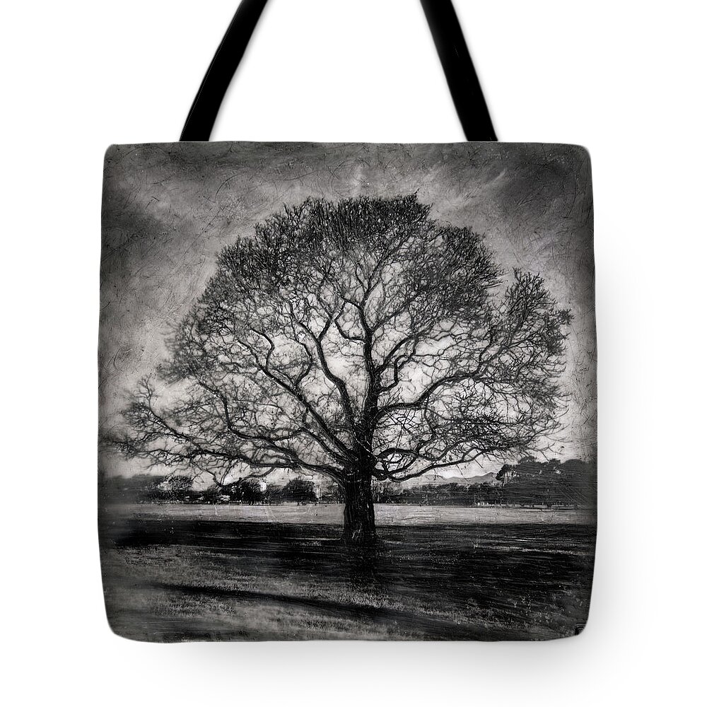 Photo Encaustic Tote Bag featuring the mixed media Hagley Tree #1 by Roseanne Jones