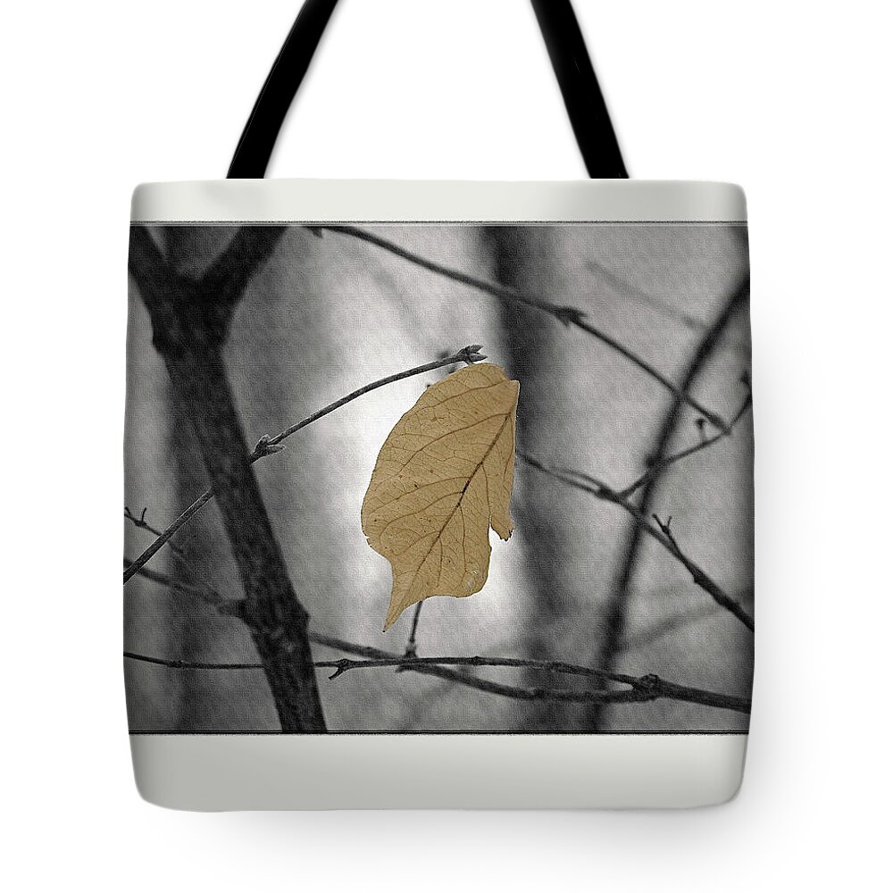 Color Photography Tote Bag featuring the photograph Hanging In The Balance #1 by Sue Stefanowicz