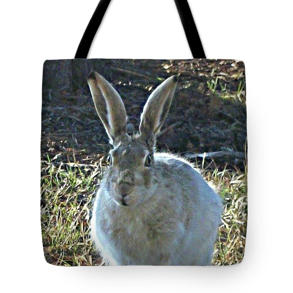 Hare Tote Bag featuring the photograph Hare by 'REA' Gallery