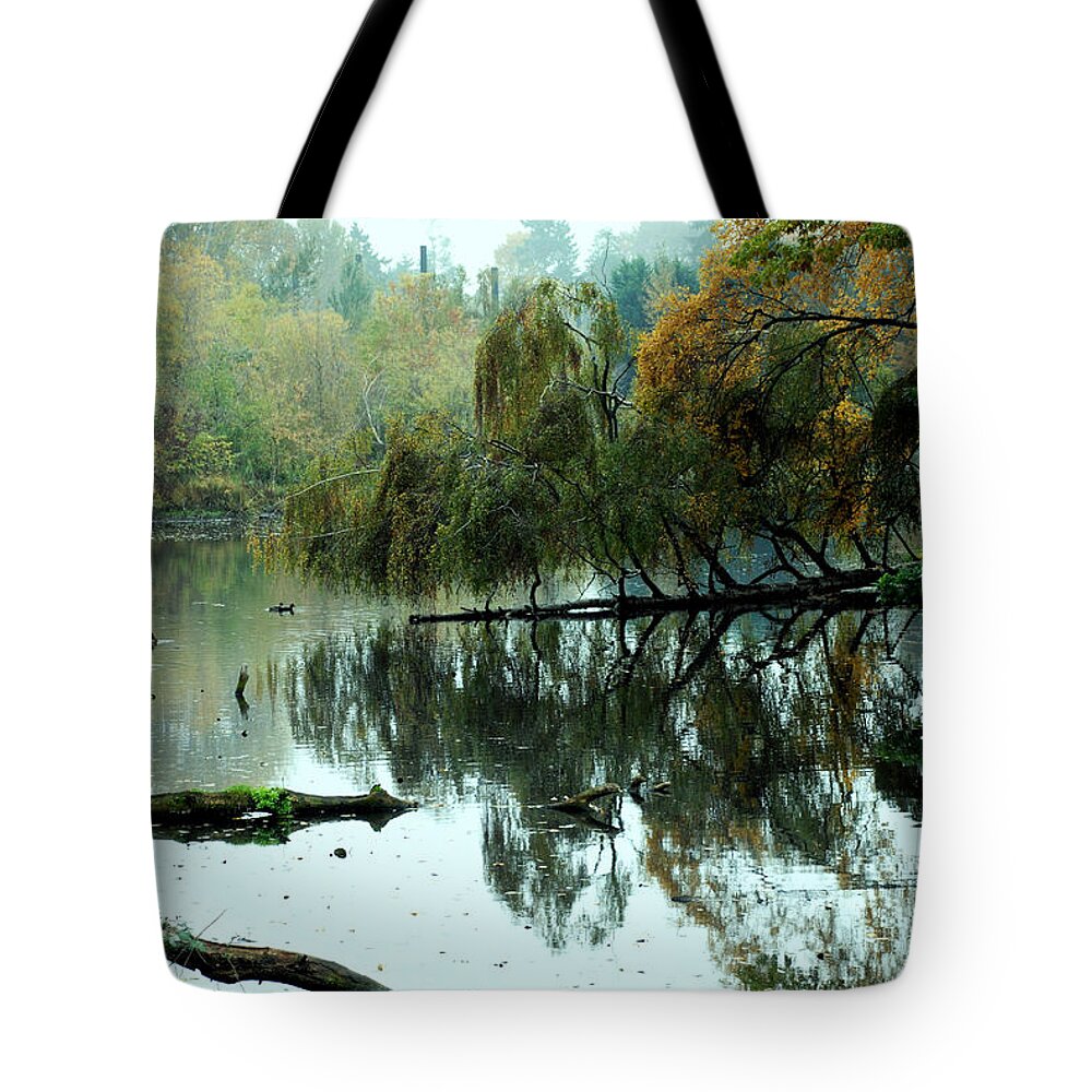 Lake Tote Bag featuring the photograph Hidden Lake #1 by Kathleen Grace
