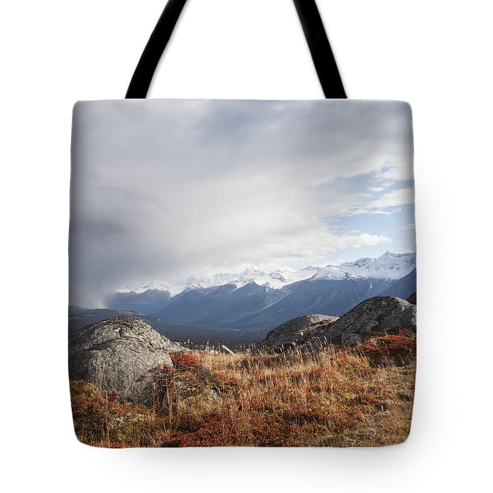 British Columbia Tote Bag featuring the photograph High Country in Fall #1 by Michele Cornelius