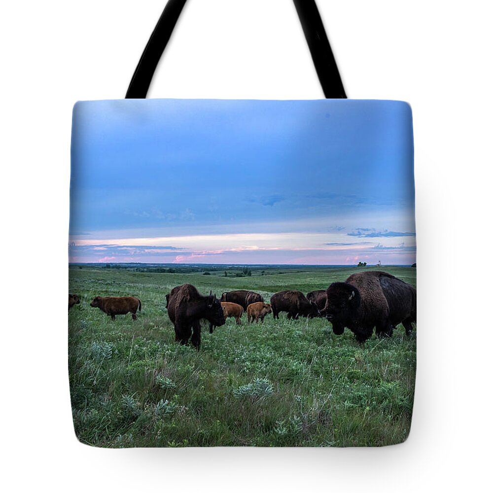 Jay Stockhaus Tote Bag featuring the photograph Home on the Range #1 by Jay Stockhaus