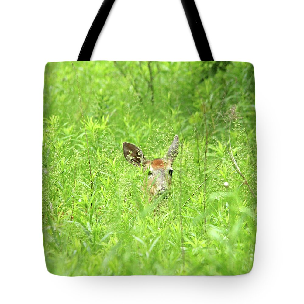 Deer Tote Bag featuring the photograph I See You #1 by Debbie Oppermann