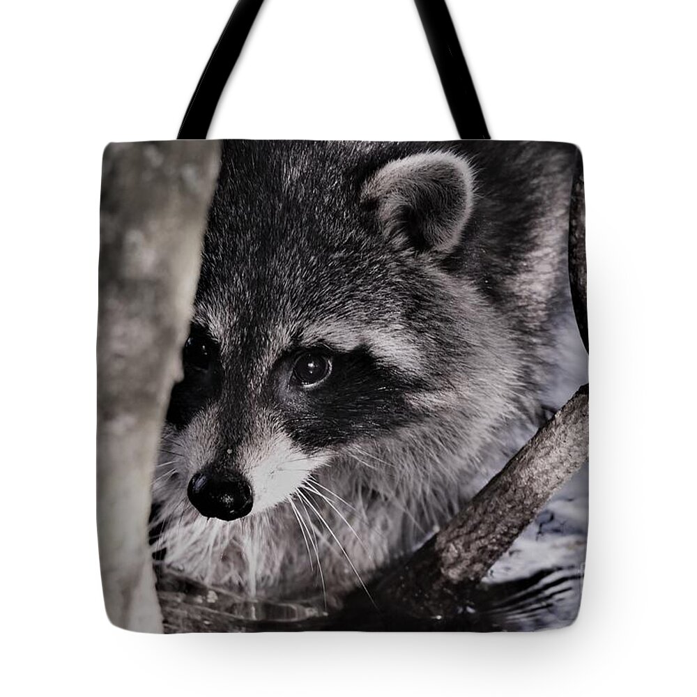 Raccoon Tote Bag featuring the photograph I See You #1 by Julie Adair