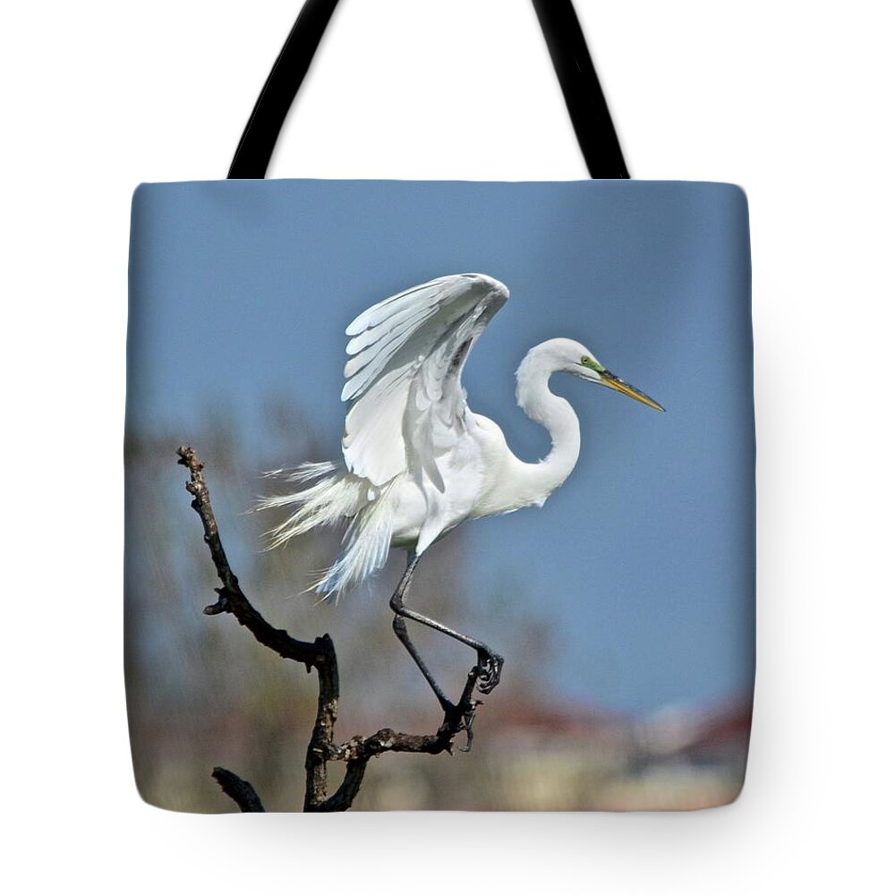 Bird Tote Bag featuring the photograph I'll Fly Away #1 by Carol Bradley