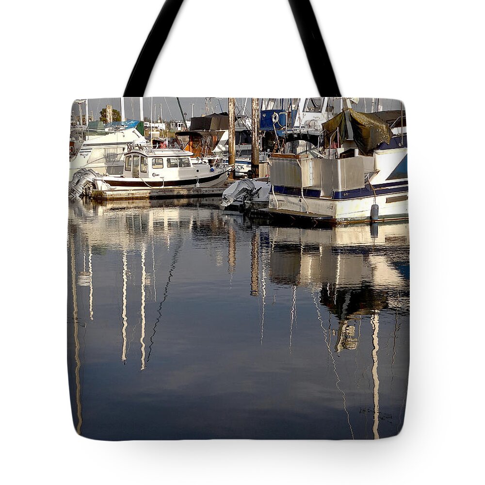 Oregon Coast Usa Tote Bag featuring the painting In the Light #2 by Tanya Filichkin