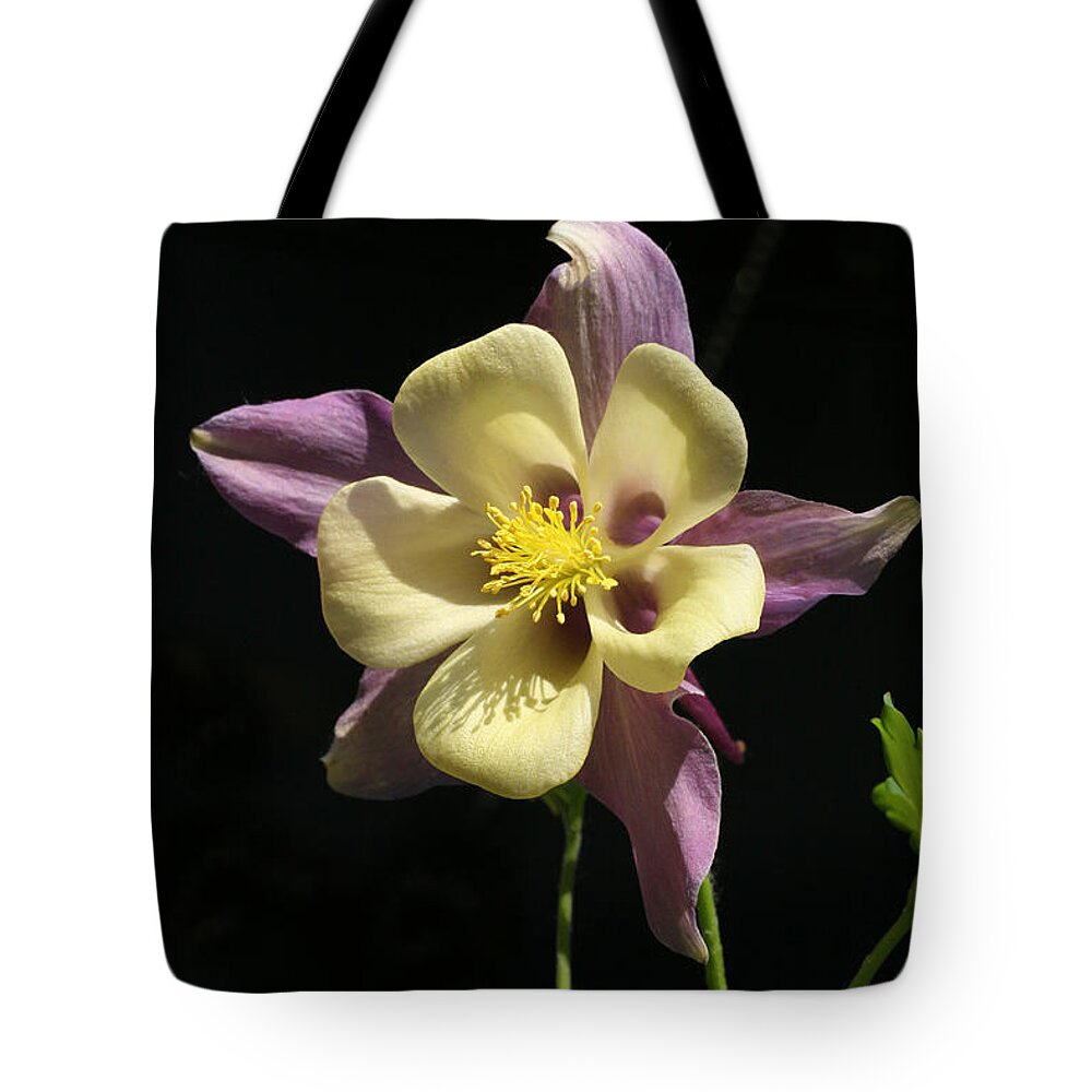 Columbine Tote Bag featuring the photograph In the Spotlight by Tammy Pool