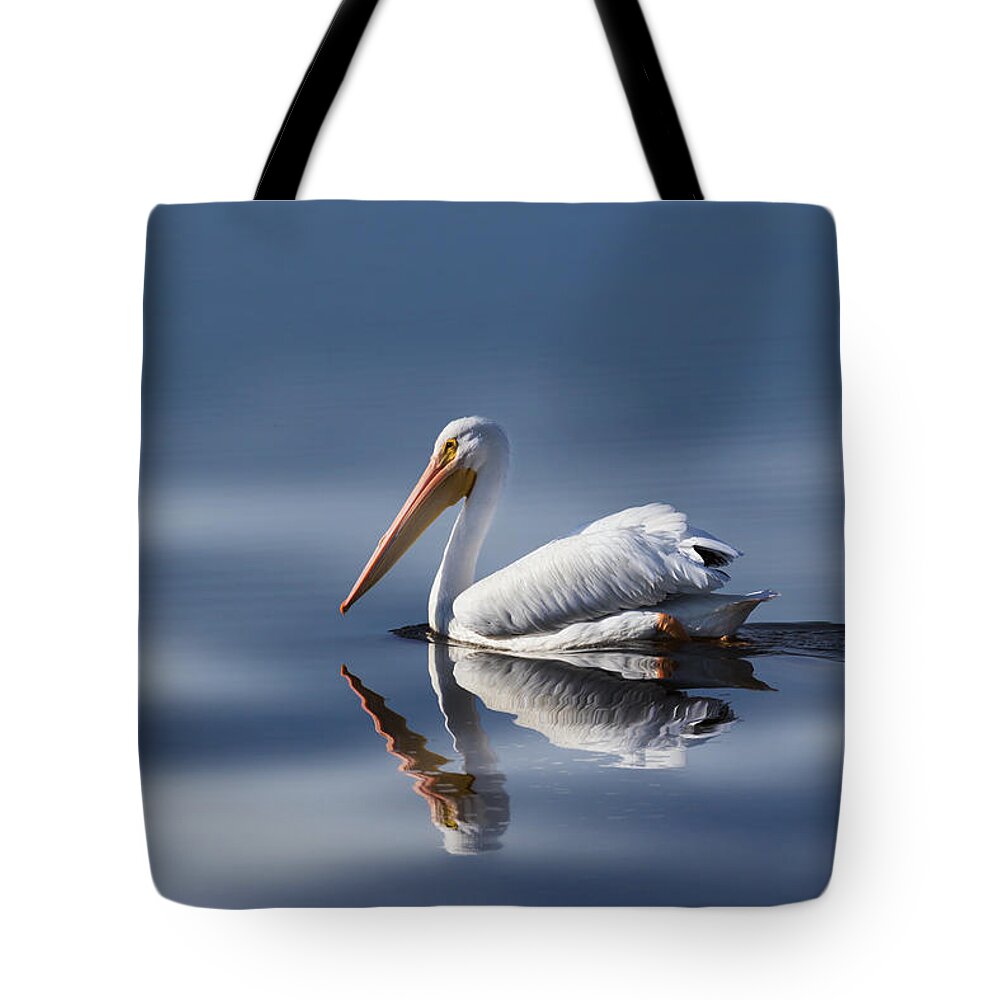 Pelican Tote Bag featuring the photograph Into The Light #2 by Kim Hojnacki