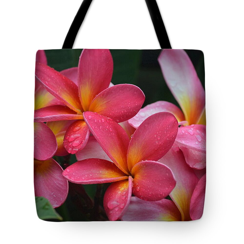 Plumeria Tote Bag featuring the photograph Island Bouquet #1 by Stan Askew
