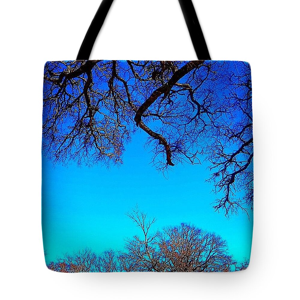 Beautiful Tote Bag featuring the photograph It Has Been Rainy, Dark And Cold. I #1 by Austin Tuxedo Cat