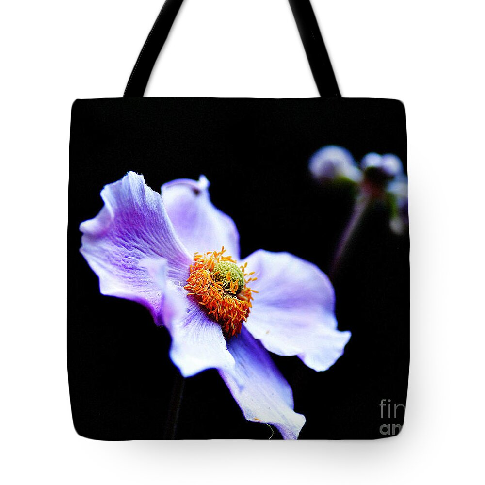 Flowers Tote Bag featuring the photograph Japanese Anemone #1 by Tatyana Searcy