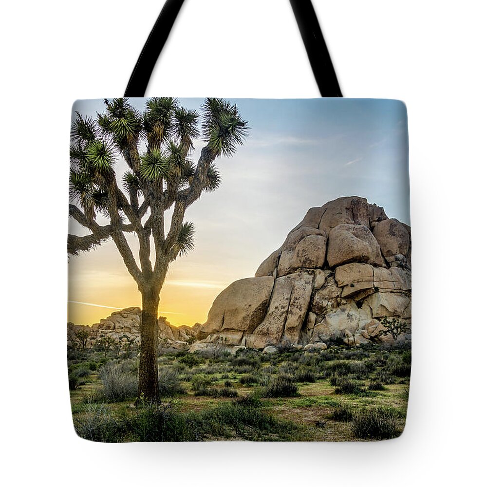 California Tote Bag featuring the photograph Joshua Tree at Sunset 2 #1 by Donald Pash