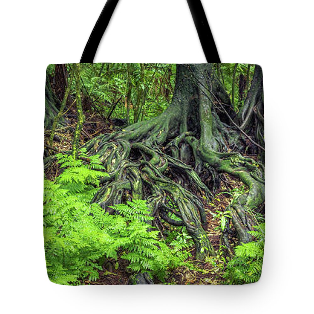 Rain Forest Tote Bag featuring the photograph Jungle roots #1 by Les Cunliffe