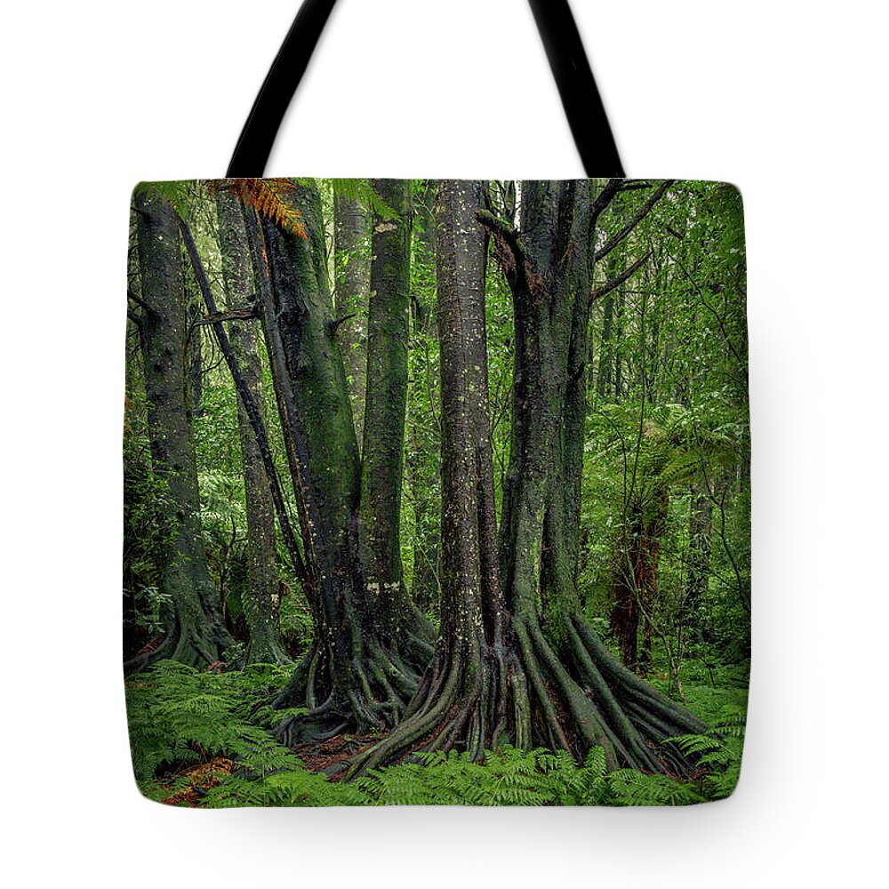 Rain Forest Tote Bag featuring the photograph Jungle trunks 1 by Les Cunliffe