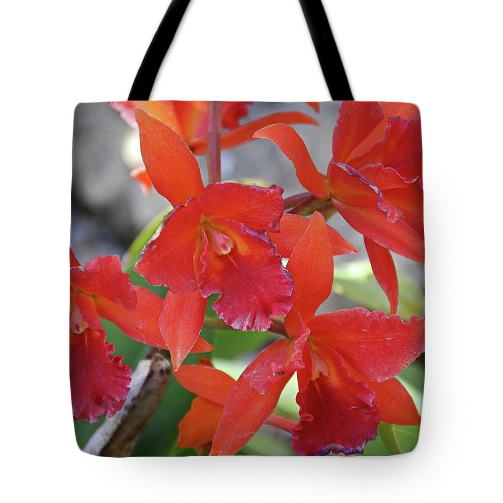Orchid Tote Bag featuring the photograph Keep It Between Us #1 by Michiale Schneider