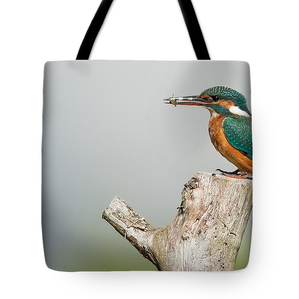 Kingfishers Tote Bags
