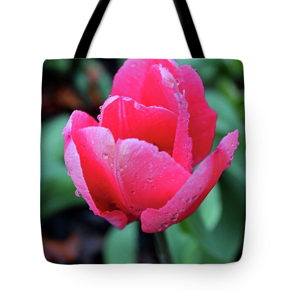 Raindrop Tote Bag featuring the photograph Kiss a Girl in the Rain #1 by Michiale Schneider