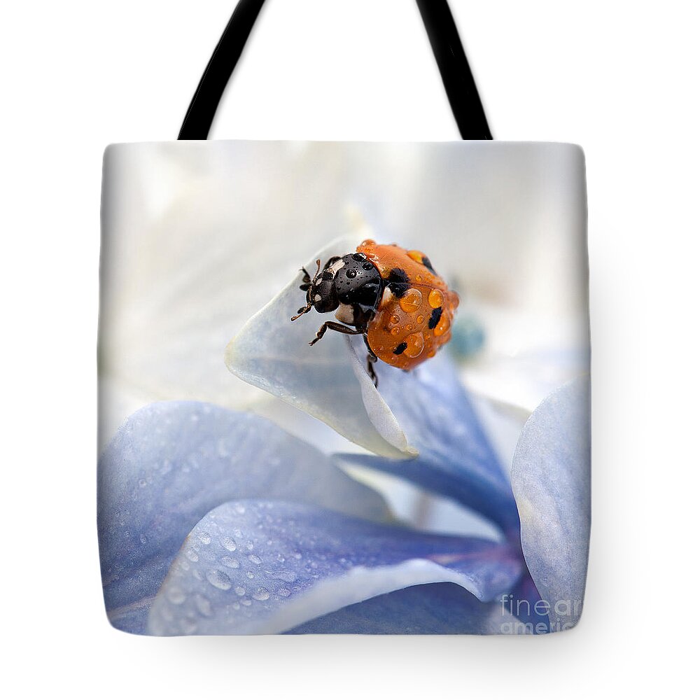 Ladybug Tote Bag featuring the photograph Ladybug by Nailia Schwarz