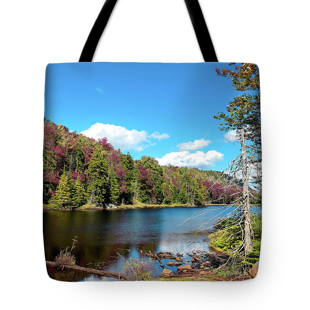 Late September On Bald Mountain Pond Tote Bag featuring the photograph Late September on Bald Mountain Pond #1 by David Patterson
