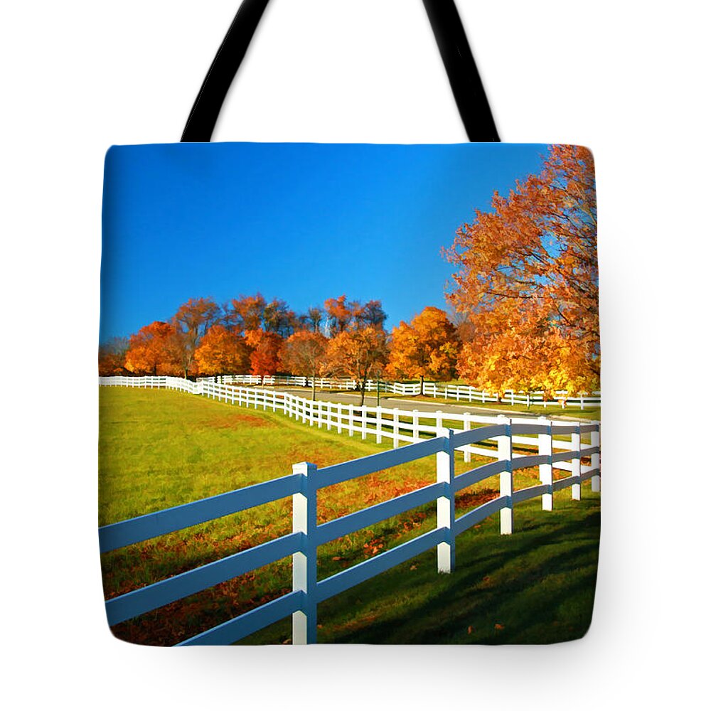 Design Tote Bag featuring the photograph Leading Lines 2 - Digital Painting by Allen Beatty