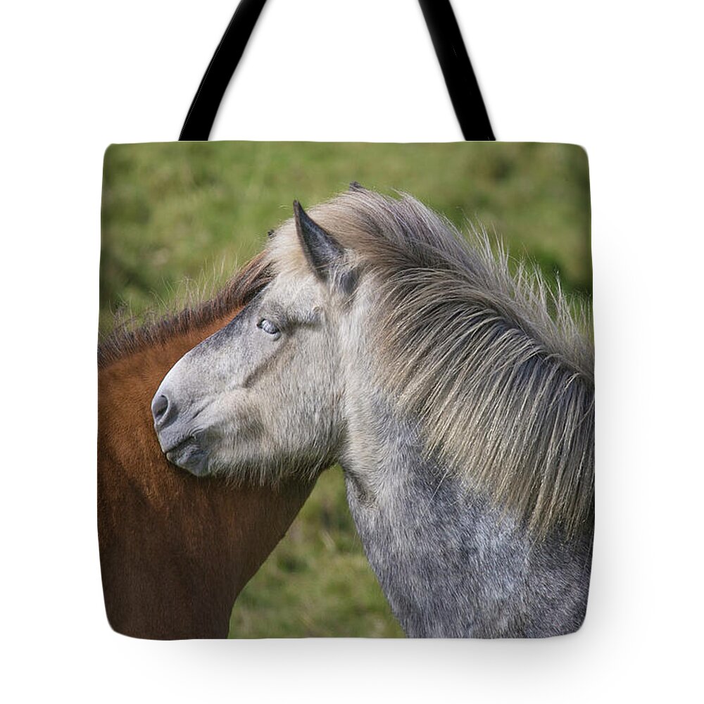 Icelandic Horses Tote Bag featuring the photograph Lean on me by Elvira Butler