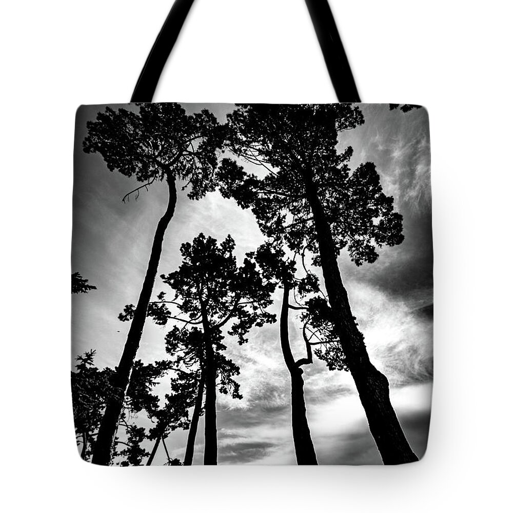 Tree Tote Bag featuring the photograph Leaning Trees by Roseanne Jones