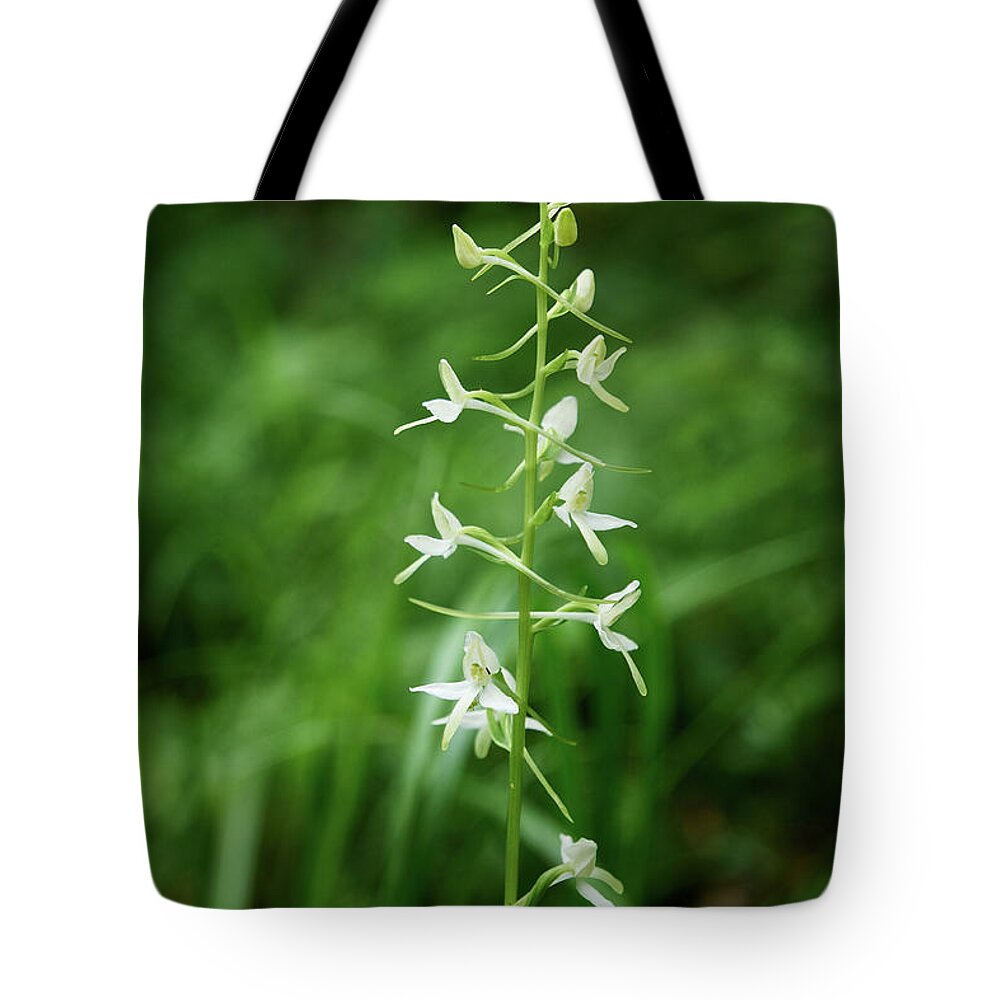 Finland Tote Bag featuring the photograph Lesser butterfly orchid #1 by Jouko Lehto