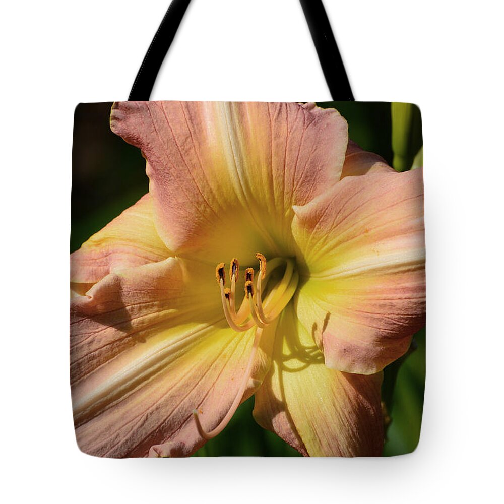 Flower Tote Bag featuring the digital art Lily Close Up #1 by Lyle Crump