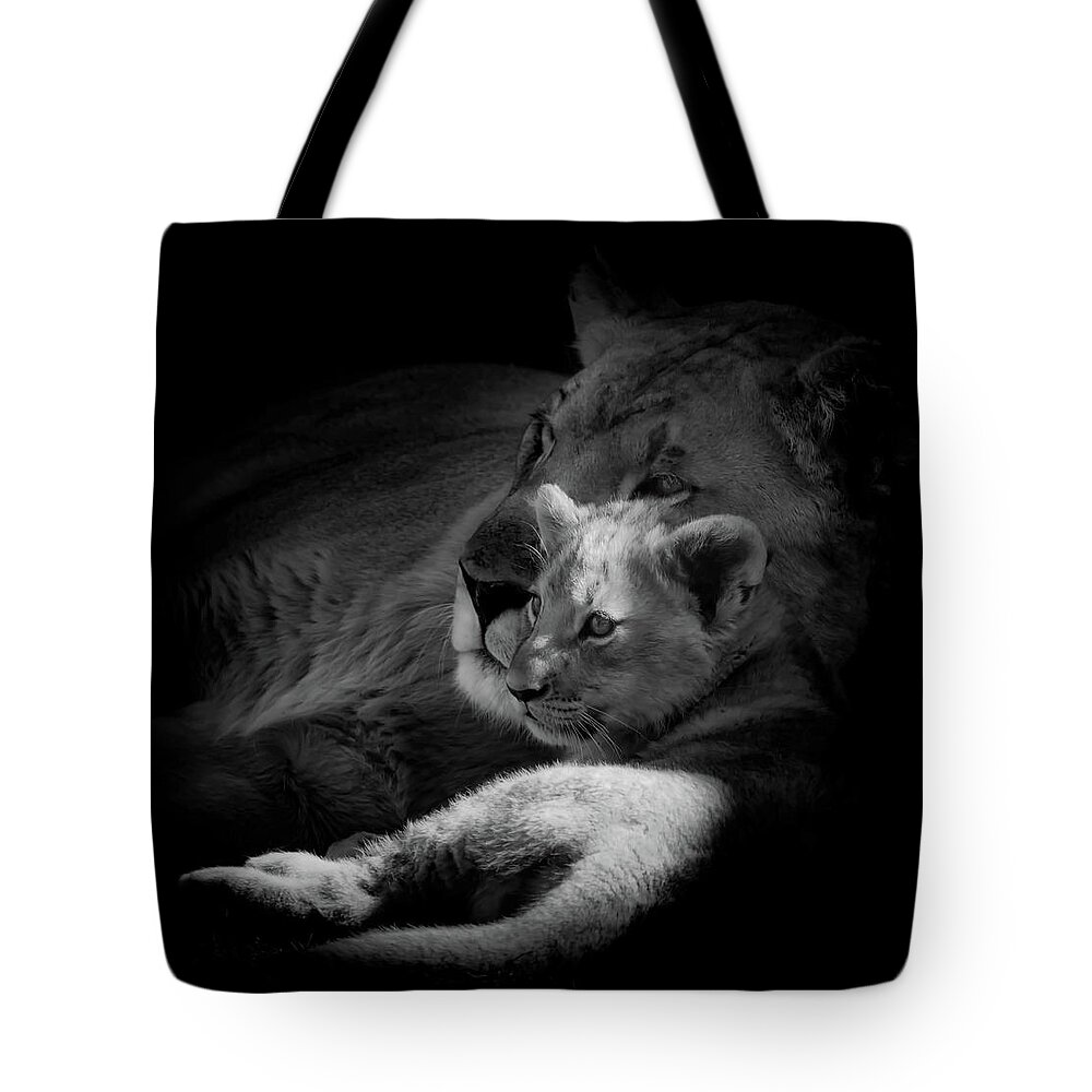 Lion Tote Bag featuring the photograph Lioness And Cub #1 by Mountain Dreams