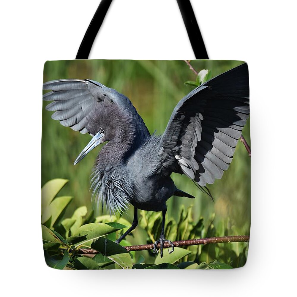 Little Blue Heron Tote Bag featuring the photograph Little Blue Heron #1 by Julie Adair