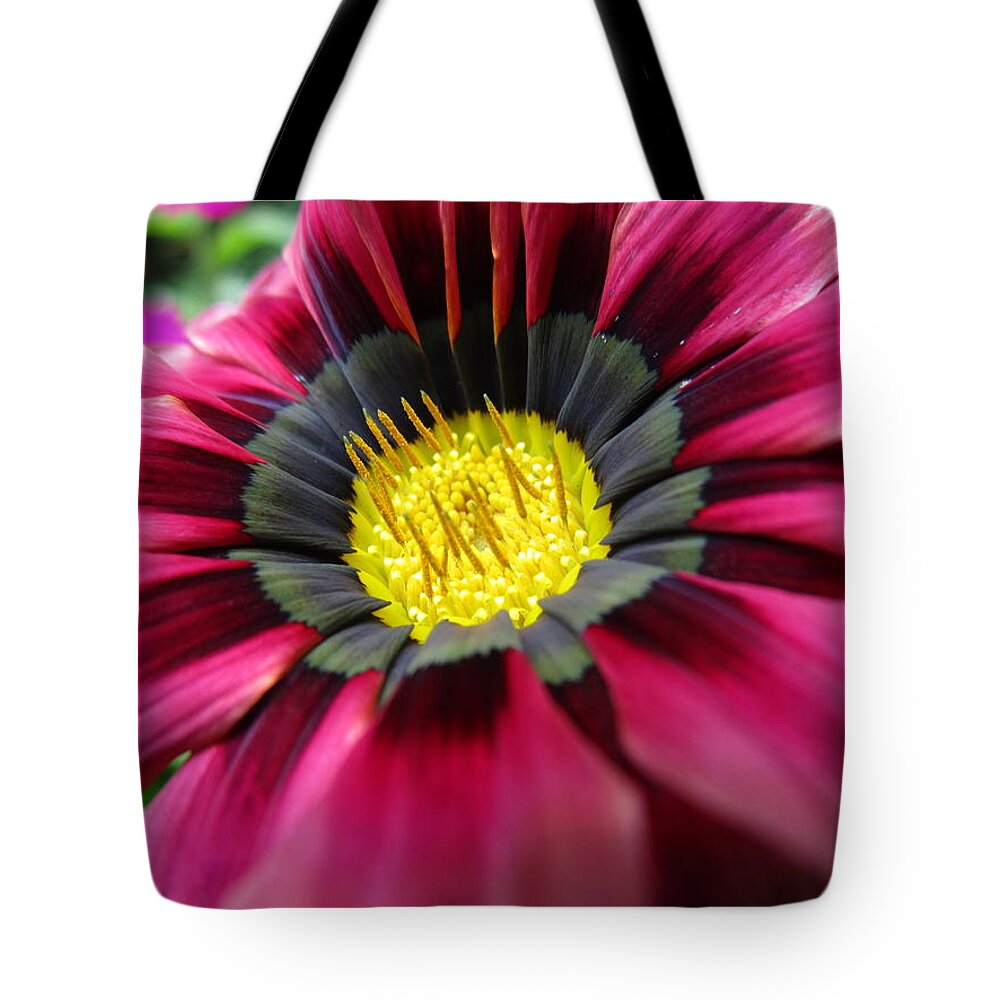 Spirited Tote Bag featuring the photograph Look at me #1 by Rosita Larsson