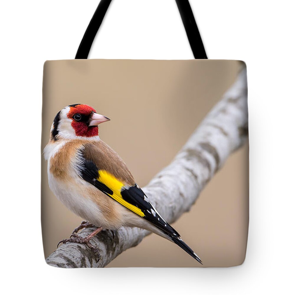 Looking Behind Tote Bag featuring the photograph Looking behind2 by Torbjorn Swenelius