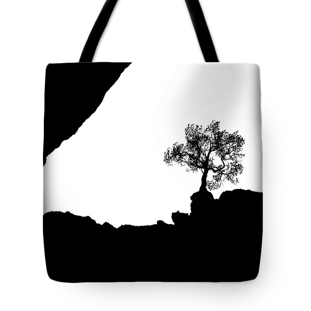 Tree Tote Bag featuring the photograph Looking Up #1 by Marilyn Hunt