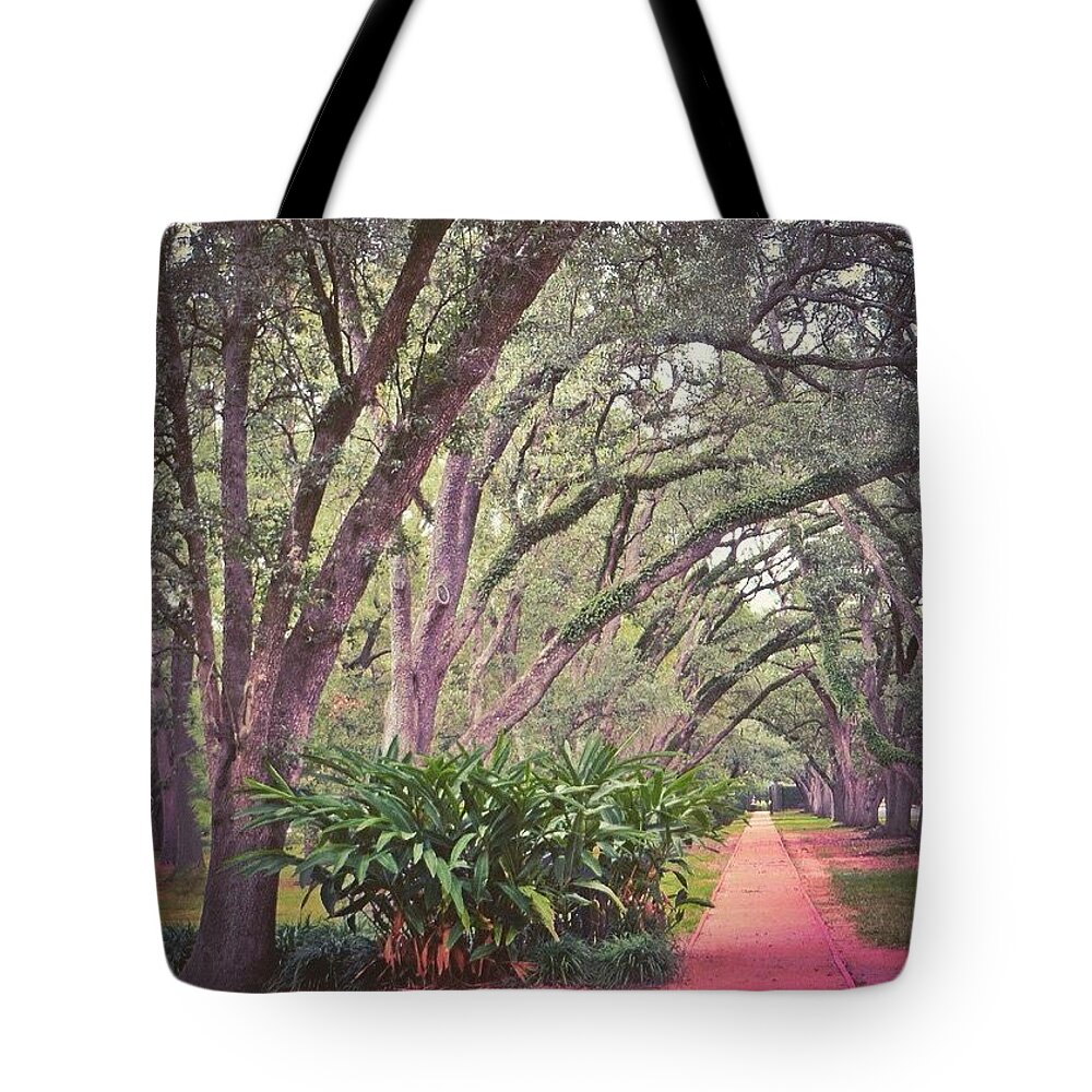 Beautiful Tote Bag featuring the photograph Love The #liveoak #trees And This #1 by Austin Tuxedo Cat